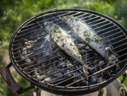 7 Makanan Penambah Daya Ingat dan Kecerdasan, Otak Semakin Encer