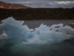 Kenapa Greenland Disebut ‘Daratan Hijau’ Padahal Diselimuti Salju?