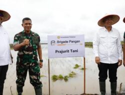 Percepat Swasembada, Kementan Gandeng TNI-Polri Bentuk Brigade Pangan