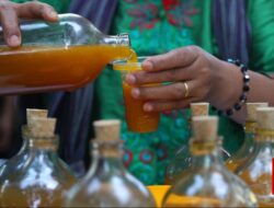 Kemenkes Mulai Giatkan Medis Bahan Alam Sampai saat ini Jamu di Faskes Formal