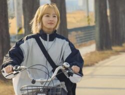 5 Rekomendasi Serial Korea Terfavorit Juni 2025