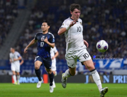 Ole Romeny: Jepang Istimewa