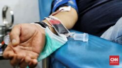 Ini yang Terjadi pada Tubuh Usai Donor Darah, Kapan Darah Normal Lagi?