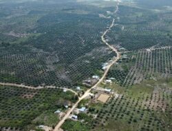 Hak Pendidikan Anak di Tesso Nilo Jangan Dikorbankan