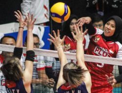 Jadwal Lengkap Moji Volley Cup: Megawati Main?
