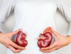Biar Ginjal Tetap Sehat, Apa Saja Makanan yang Sangat dianjurkan Dihindari?