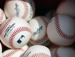 Viral Video Emak-emak Marah Sampai sekarang Rebut Bola Bisbol dari Bocah di AS