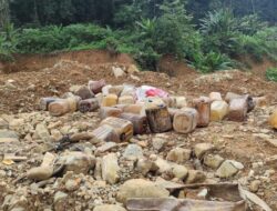 Jaga SDA, Gubernur Sulteng Usul Legalkan Tambang dengan Kontrol Ketat