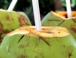 Simak, 8 Kelompok Orang Ini Dianjurkan Berhati-hati saat Minum Air Kelapa