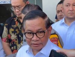 Pramono Pelihara Harimau Benggala, Sengaja Dititip ke Ragunan