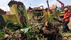 Pohon Tumbang, Rumah Warga Rusak