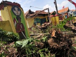 Pohon Tumbang, Rumah Warga Rusak