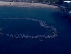 Peselancar dan Perenang Hormati Korban Penembakan Sydney