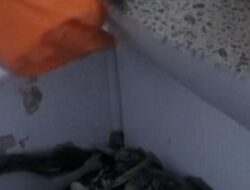 Tangki Minyak Ukraina Bocor Diserang Rusia, Puluhan Burung Terdampak