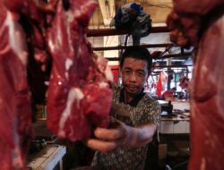 BUMN Dapat Jatah Pembelian Barang dari Luar Negeri Daging Sapi 250 Ribu Ton, Swasta 30 Ribu Ton