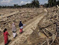 Pemerintah Kucurkan Rp93 M untuk Usaha Kecil Menengah Korban Bencana Sumatra