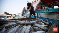 KKP Minta Tambahan Rp1,7 T Buat Pulihkan Sektor Perikanan di Sumatra