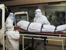 Darurat Nipah di India, 100 Orang Dikarantina, 5 Positif Terinfeksi