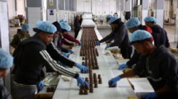 Pabrik Manisan di Gaza Palestina Kembali Beroperasi