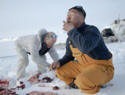 Bagaimana Perlakuan Denmark ke Penduduk Asli Greenland?