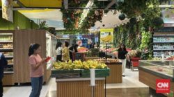 Transmart Full Day Sale Ada Lagi, Jangan Terlewat Sale 50% + 20%