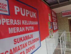 Awal Februari Baru 680 Unit