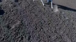 Robot Anjing Diuji di Gunung Etna, Bisa Cium Gas dan Prediksi Letusan