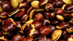 Benarkah Jengkol Mengandung Racun? : Okezone Women